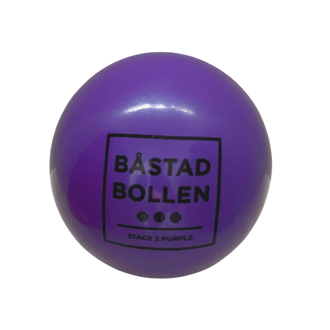 Lila stor tennisboll 2-pack